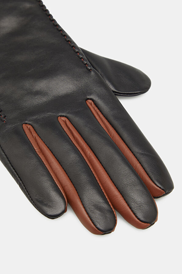 WCollection2 WCollection2