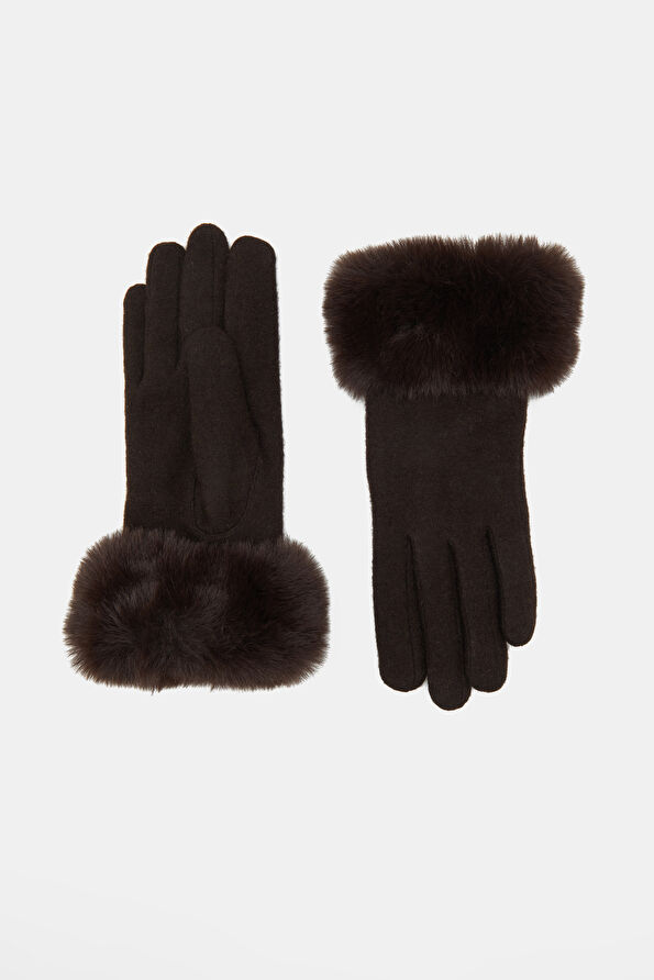 WCollection1 WCollection1