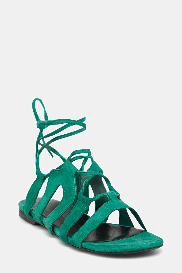 WCollection2 WCollection2