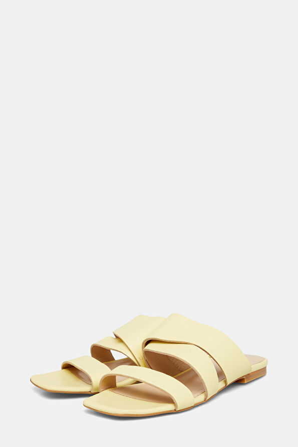 WCollection2 WCollection2