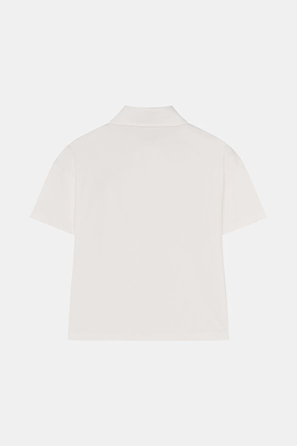 WCollection2 WCollection2