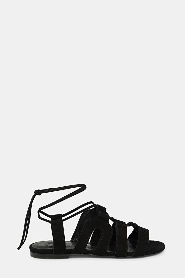 WCollection1