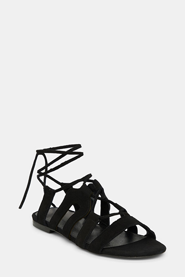 WCollection2 WCollection2