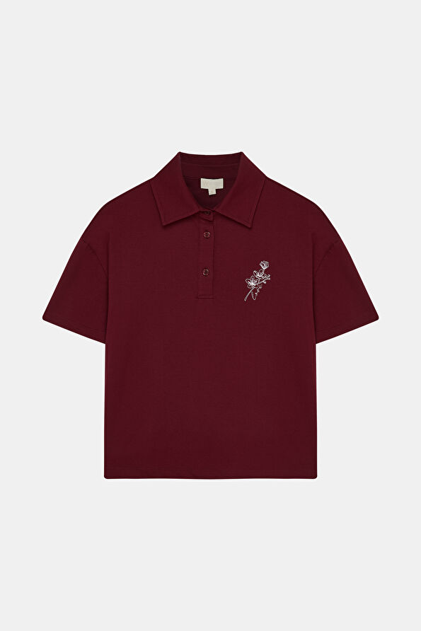 WCollection1 WCollection1