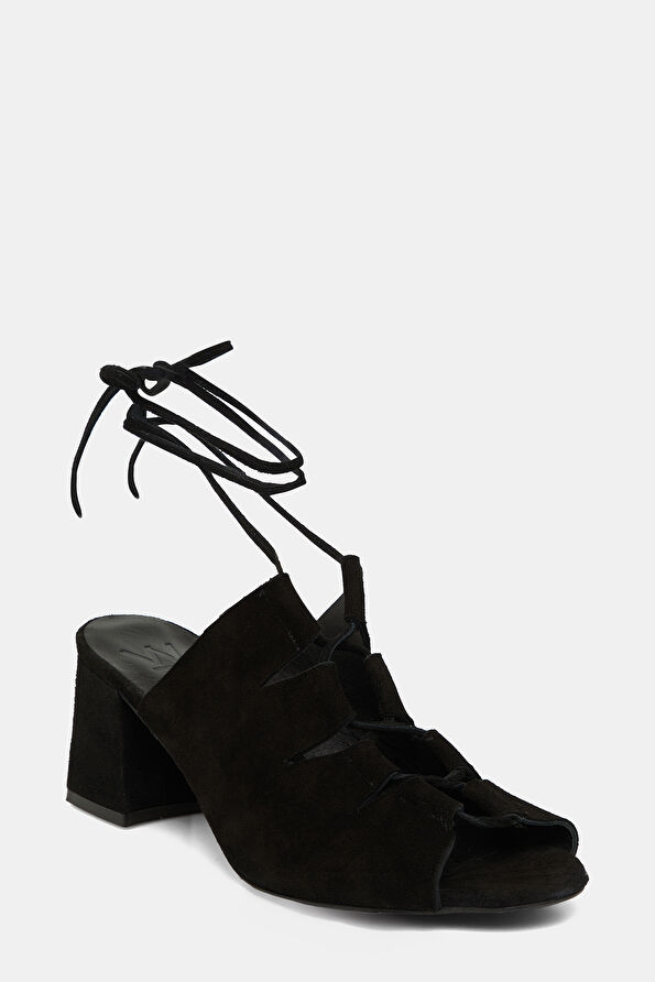 WCollection2 WCollection2