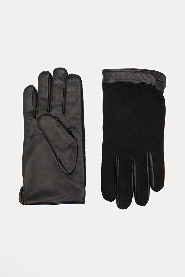 WCollection1 WCollection1