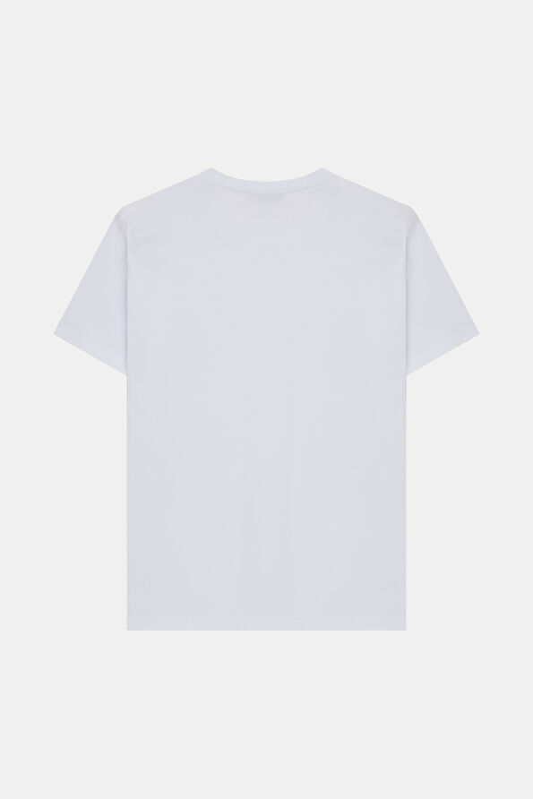 WCollection2