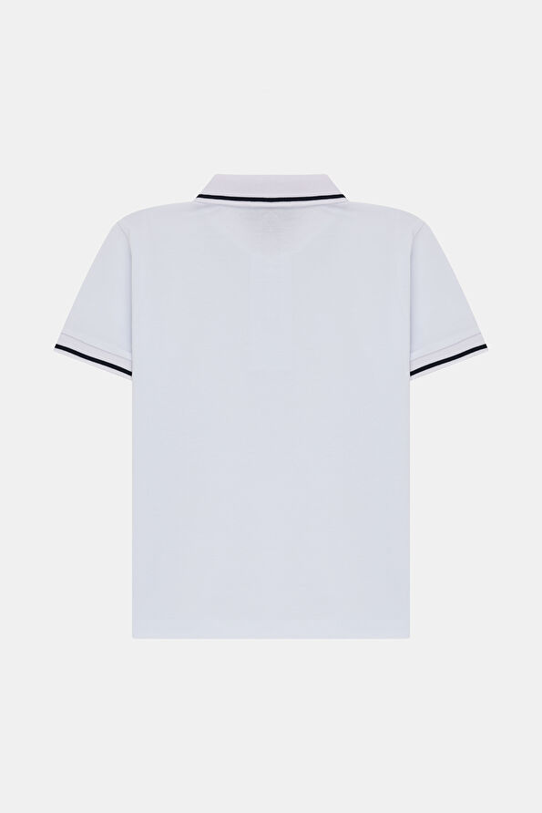 WCollection2