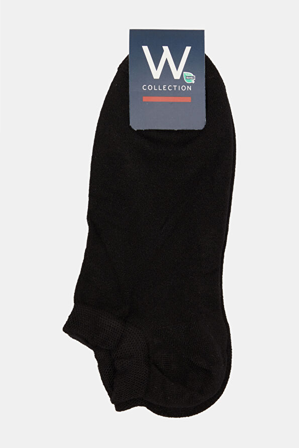 WCollection1 WCollection1