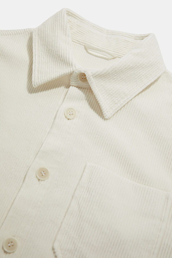 WCollection1 WCollection1